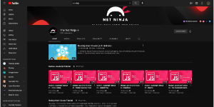 Net Ninja channel screeshot